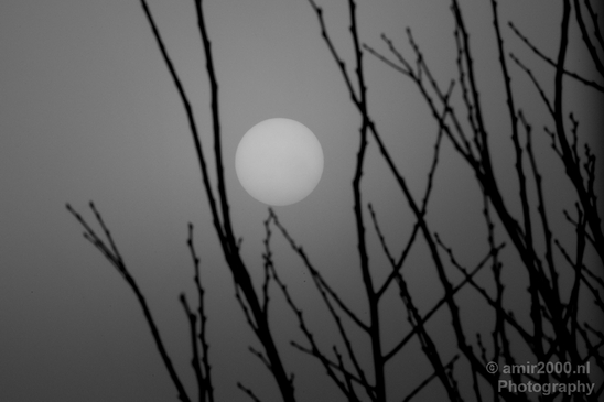 The_sun_behind_fog_winter_nature_Landscape_Photography_003_Canon_EOS_5D_Mark_IV.JPG