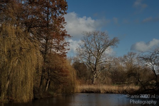 Vondel_Park_Nature_Landscape_Photography_001_Canon_EOS_7D.JPG