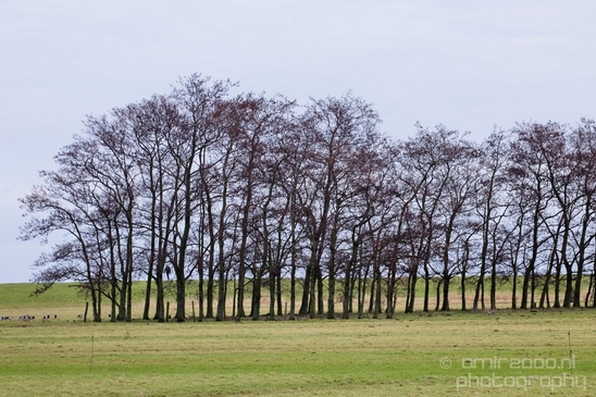 Vuurtoren_van_Waterland_North_Holland_Netherlands_nature_landscape_Photography_004_Canon_EOS_5D_Mark_IV.JPG