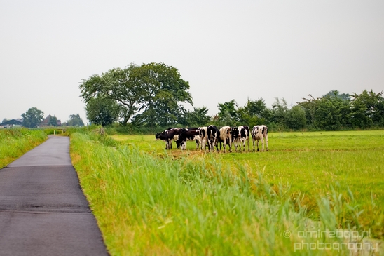 Waterland_North_Holland_Dutch_landscape_nederlandse_landschap_nature_Photography_004_Canon_EOS_5D_Mark_IV.JPG