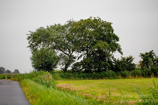 Waterland_North_Holland_Dutch_landscape_nederlandse_landschap_nature_Photography_006_Canon_EOS_5D_Mark_IV.JPG