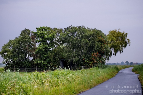 Waterland_North_Holland_Dutch_landscape_nederlandse_landschap_nature_Photography_007_Canon_EOS_5D_Mark_IV.JPG