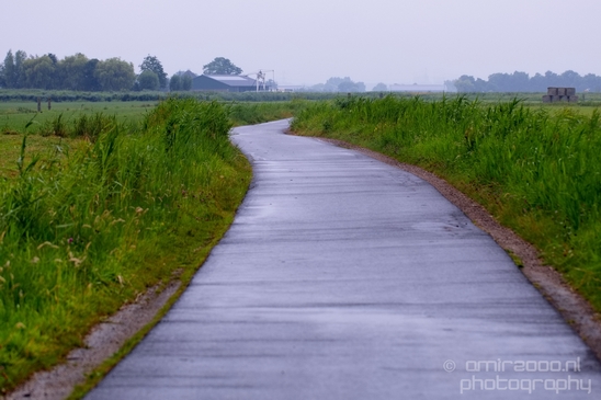 Waterland_North_Holland_Dutch_landscape_nederlandse_landschap_nature_Photography_023_Canon_EOS_5D_Mark_IV.JPG
