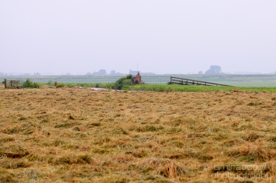 Waterland_North_Holland_Dutch_landscape_nederlandse_landschap_nature_Photography_027_Canon_EOS_5D_Mark_IV.JPG