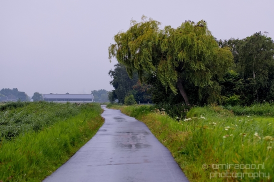Waterland_North_Holland_Dutch_landscape_nederlandse_landschap_nature_Photography_029_Canon_EOS_5D_Mark_IV.JPG