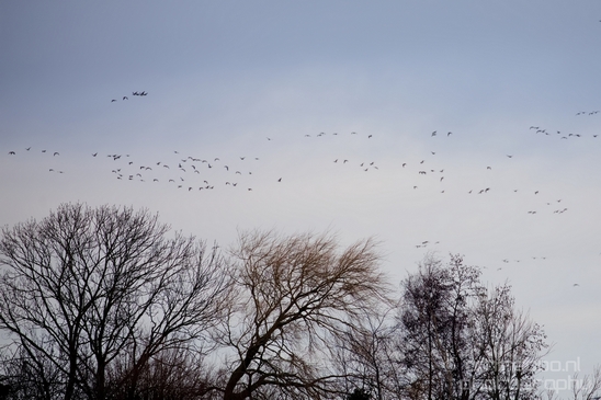 Waterland_North_Holland_Netherlands_nature_landscape_Photography_001_Canon_EOS_5D_Mark_IV.JPG