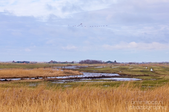 Waterland_North_Holland_Netherlands_nature_landscape_Photography_006_Canon_EOS_5D_Mark_IV.JPG