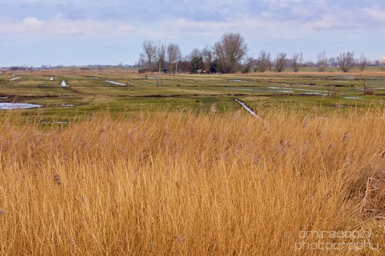 Waterland_North_Holland_Netherlands_nature_landscape_Photography_007_Canon_EOS_5D_Mark_IV.JPG