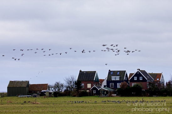 Waterland_North_Holland_Netherlands_nature_landscape_Photography_008_Canon_EOS_5D_Mark_IV.JPG