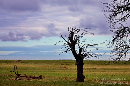 Waterland_North_Holland_Netherlands_nature_landscape_Photography_011_Canon_EOS_5D_Mark_IV.JPG