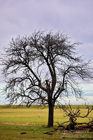 Waterland_North_Holland_Netherlands_nature_landscape_Photography_012_Canon_EOS_5D_Mark_IV.JPG
