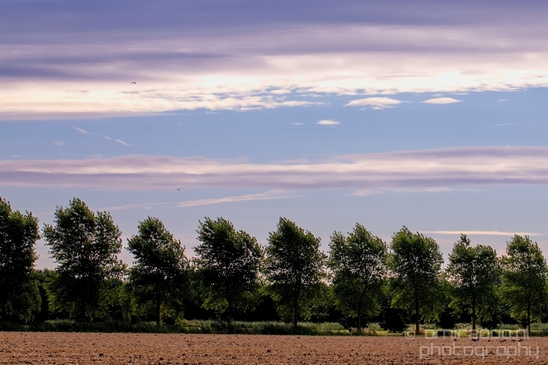 Wheat_fields_nature_landscape_North_Holland_Photography_015_Canon_EOS_5D_Mark_IV.JPG