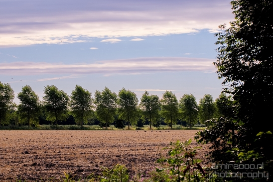 Wheat_fields_nature_landscape_North_Holland_Photography_016_Canon_EOS_5D_Mark_IV.JPG
