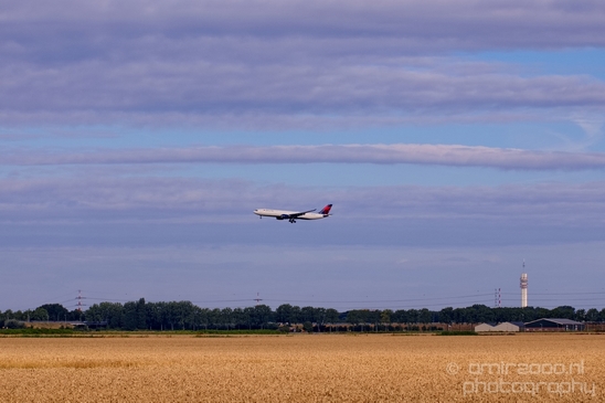 Wheat_fields_nature_landscape_North_Holland_Photography_017_Canon_EOS_5D_Mark_IV.JPG