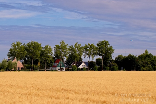 Wheat_fields_nature_landscape_North_Holland_Photography_019_Canon_EOS_5D_Mark_IV.JPG