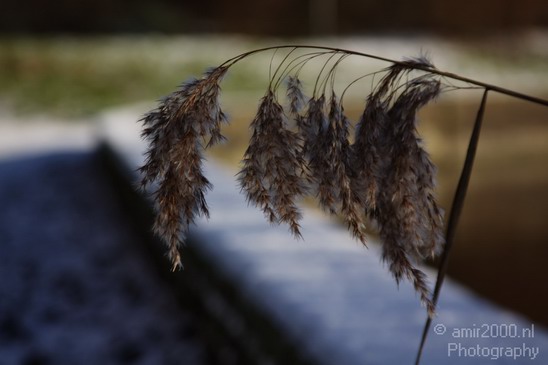 Winter_Scene_Nature_Landscape_Photography_003_Canon_EOS_50D.JPG