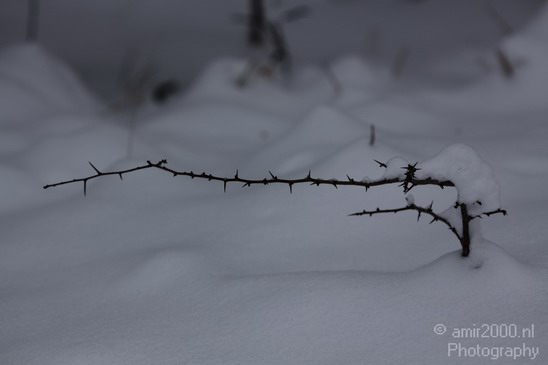 Winter_Scene_Nature_Landscape_Photography_020_Canon_EOS_50D.JPG