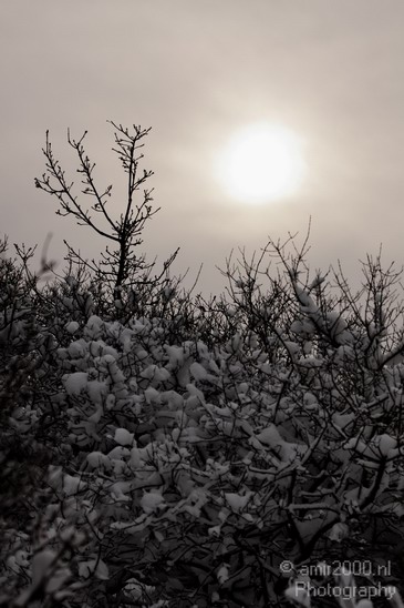 Winter_Scene_Nature_Landscape_Photography_022_Canon_EOS_50D.JPG