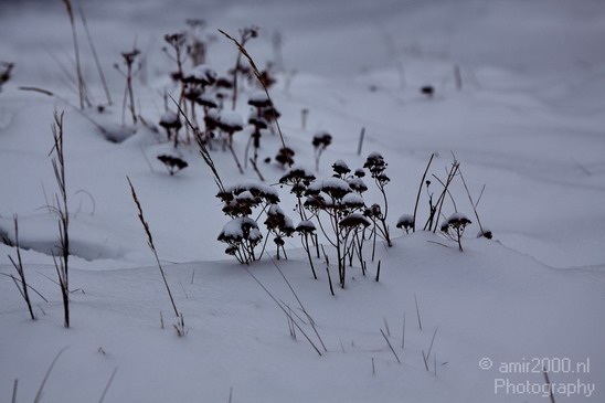 Winter_Scene_Nature_Landscape_Photography_025_Canon_EOS_50D.JPG