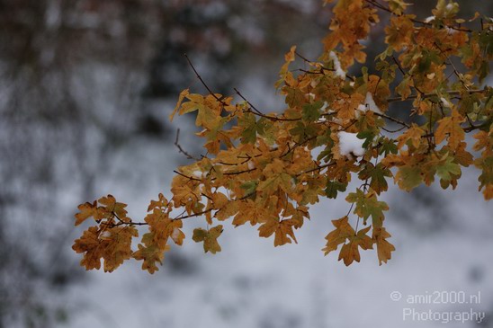 Winter_Scene_Nature_Landscape_Photography_032_Canon_EOS_50D.JPG