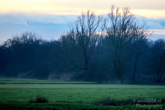 Winter_foggy_day_around_Amsterdam_nature_landscape_north_holland_Netherlands_Photography_001_Canon_EOS_5D_Mark_IV.JPG