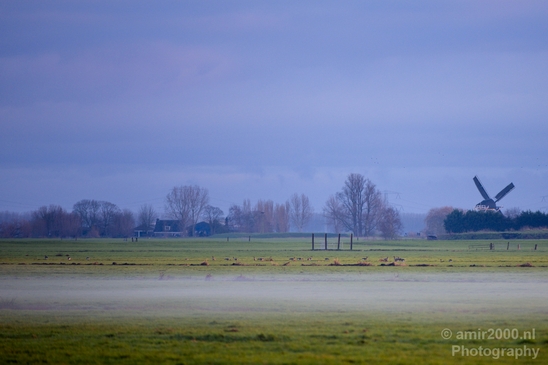 Winter_foggy_day_around_Amsterdam_nature_landscape_north_holland_Netherlands_Photography_004_Canon_EOS_5D_Mark_IV.JPG