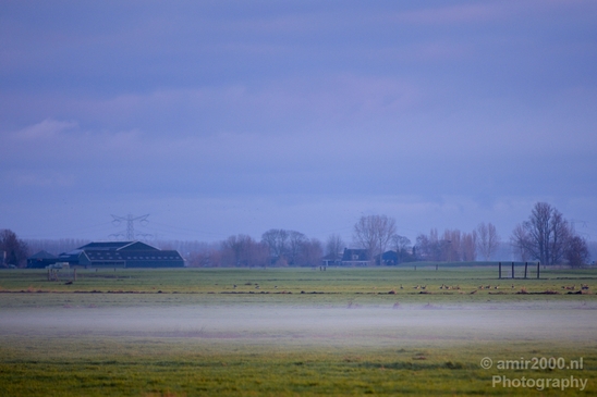 Winter_foggy_day_around_Amsterdam_nature_landscape_north_holland_Netherlands_Photography_005_Canon_EOS_5D_Mark_IV.JPG