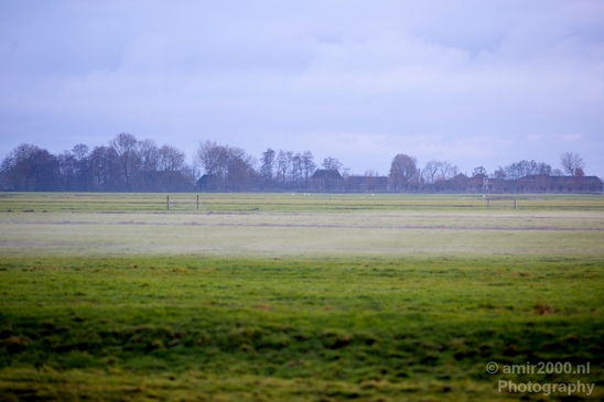 Winter_foggy_day_around_Amsterdam_nature_landscape_north_holland_Netherlands_Photography_009_Canon_EOS_5D_Mark_IV.JPG