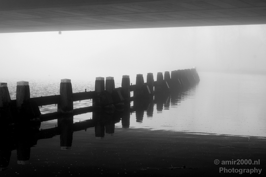 Winter_foggy_day_around_Amsterdam_nature_landscape_north_holland_Netherlands_Photography_010_Canon_EOS_5D_Mark_IV.JPG