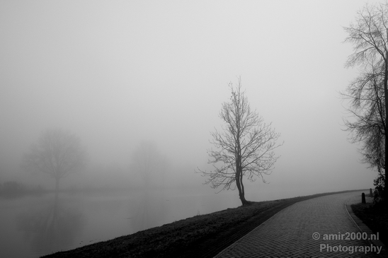 Winter_foggy_day_around_Amsterdam_nature_landscape_north_holland_Netherlands_Photography_012_Canon_EOS_5D_Mark_IV.JPG