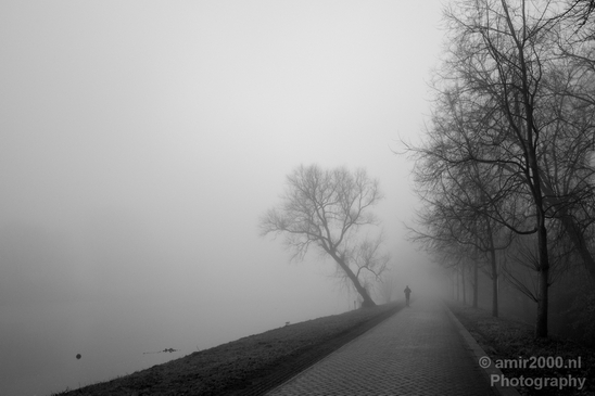 Winter_foggy_day_around_Amsterdam_nature_landscape_north_holland_Netherlands_Photography_013_Canon_EOS_5D_Mark_IV.JPG