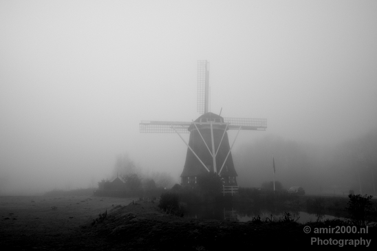 Winter_foggy_day_around_Amsterdam_nature_landscape_north_holland_Netherlands_Photography_014_Canon_EOS_5D_Mark_IV.JPG