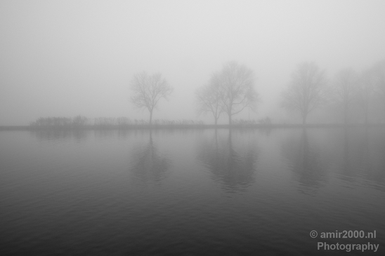 Winter_foggy_day_around_Amsterdam_nature_landscape_north_holland_Netherlands_Photography_015_Canon_EOS_5D_Mark_IV.JPG