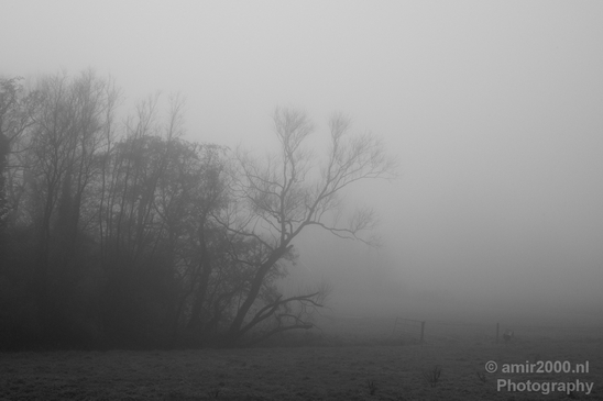 Winter_foggy_day_around_Amsterdam_nature_landscape_north_holland_Netherlands_Photography_016_Canon_EOS_5D_Mark_IV.JPG