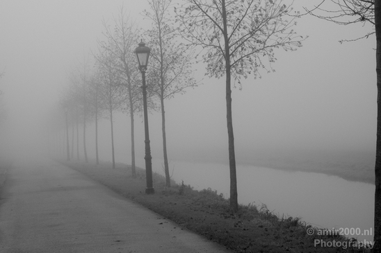 Winter_foggy_day_around_Amsterdam_nature_landscape_north_holland_Netherlands_Photography_017_Canon_EOS_5D_Mark_IV.JPG