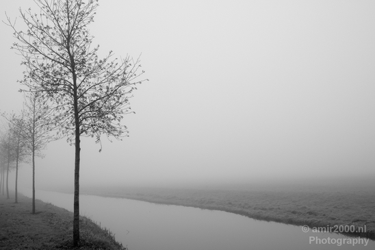 Winter_foggy_day_around_Amsterdam_nature_landscape_north_holland_Netherlands_Photography_018_Canon_EOS_5D_Mark_IV.JPG