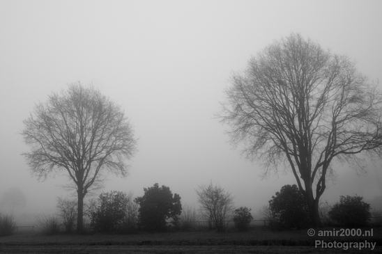 Winter_foggy_day_around_Amsterdam_nature_landscape_north_holland_Netherlands_Photography_021_Canon_EOS_5D_Mark_IV.JPG