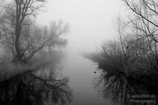 Winter_foggy_day_around_Amsterdam_nature_landscape_north_holland_Netherlands_Photography_022_Canon_EOS_5D_Mark_IV.JPG