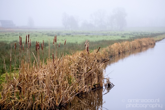 Winter_foggy_day_around_Amsterdam_nature_landscape_north_holland_Netherlands_Photography_043_Canon_EOS_5D_Mark_IV.JPG