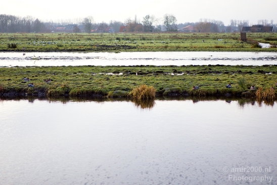 Winter_north_holland_landscape_nature_nederland_Photography_005_Canon_EOS_5D_Mark_IV.JPG