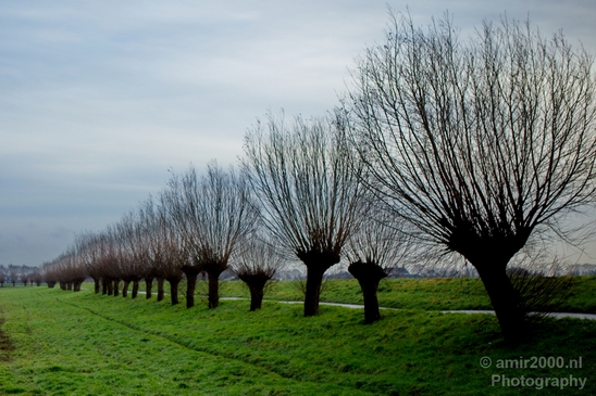 Winter_north_holland_landscape_nature_nederland_Photography_006_Canon_EOS_5D_Mark_IV.JPG