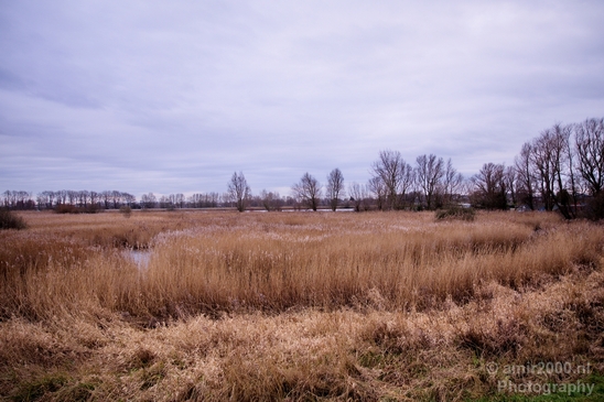 Winter_scenery_north_holland_landscape_nederland_Photography_014_Canon_EOS_5D_Mark_IV.JPG
