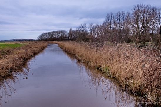 Winter_scenery_north_holland_landscape_nederland_Photography_029_Canon_EOS_5D_Mark_IV.JPG