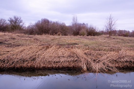 Winter_scenery_north_holland_landscape_nederland_Photography_045_Canon_EOS_5D_Mark_IV.JPG