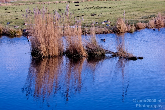 Winter_scenery_north_holland_landscape_nederland_Photography_062_Canon_EOS_5D_Mark_IV.JPG