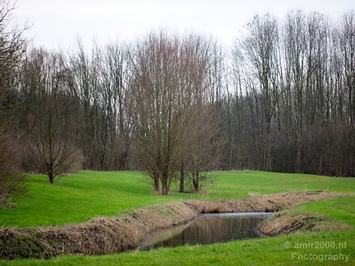 Winter_scenery_north_holland_landscape_nederland_Photography_075_Canon_EOS_5D_Mark_IV.JPG