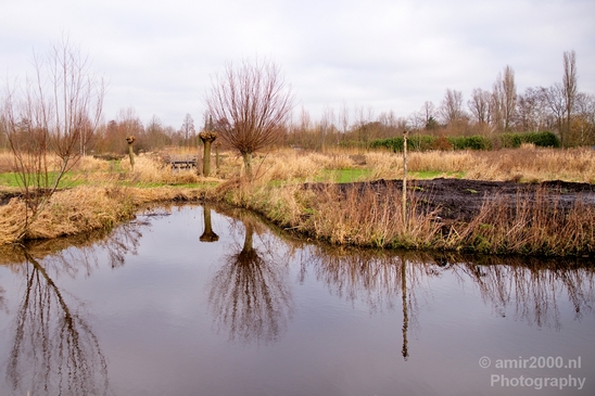 Winter_scenery_north_holland_landscape_nederland_Photography_079_Canon_EOS_5D_Mark_IV.JPG