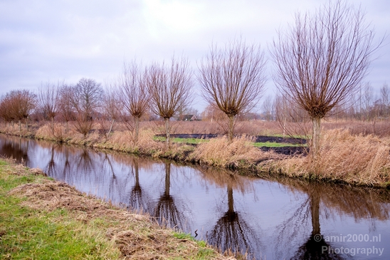 Winter_scenery_north_holland_landscape_nederland_Photography_080_Canon_EOS_5D_Mark_IV.JPG
