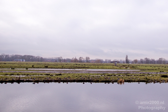 Winter_scenery_north_holland_landscape_nederland_Photography_083_Canon_EOS_5D_Mark_IV.JPG