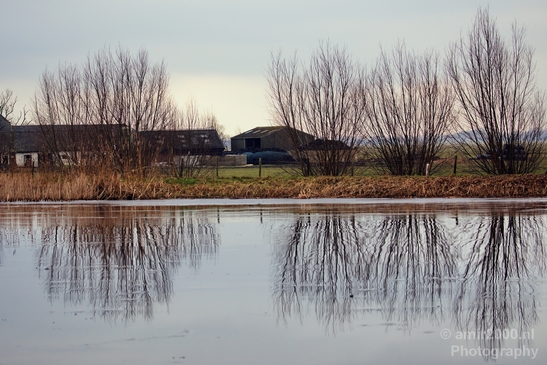 Winter_scenery_north_holland_landscape_nederland_Photography_085_Canon_EOS_5D_Mark_IV.JPG
